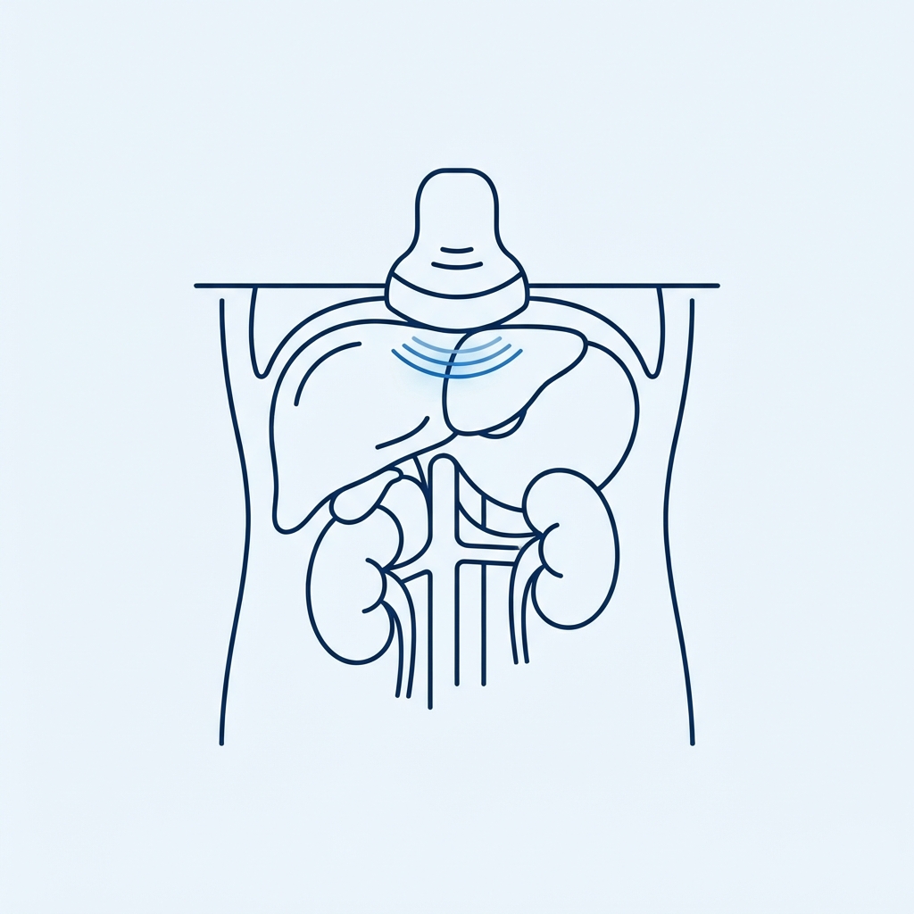 Ilustração científica do procedimento — Ultrassom abdominal